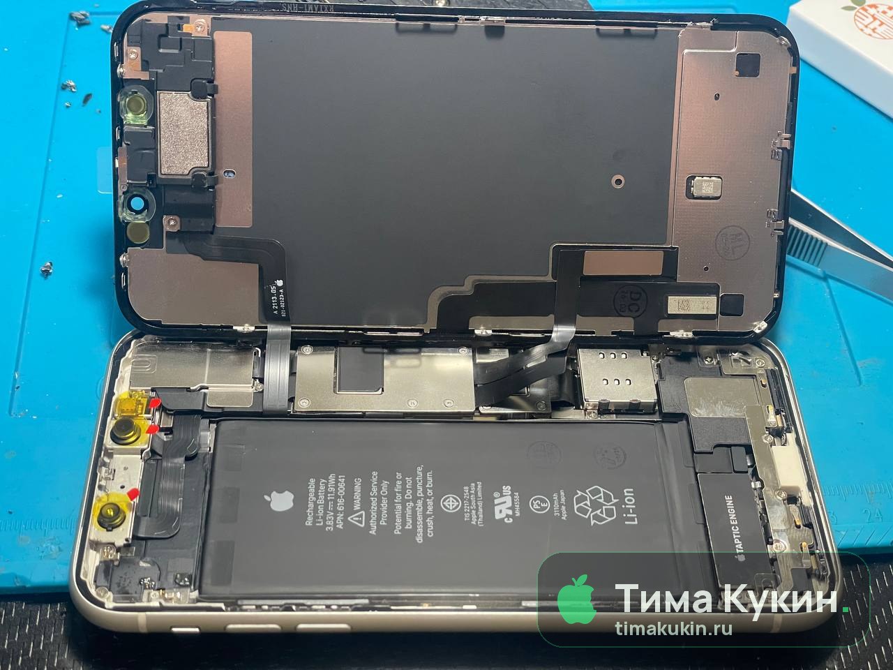 Замена дисплея (экрана) iPhone 11 — Тима Кукин