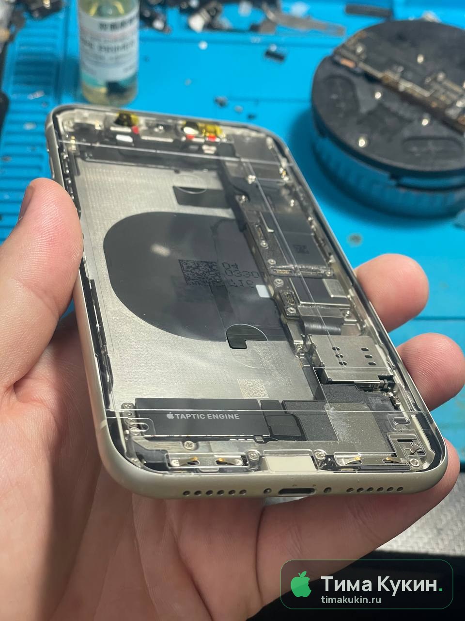 Замена дисплея (экрана) iPhone 11 — Тима Кукин