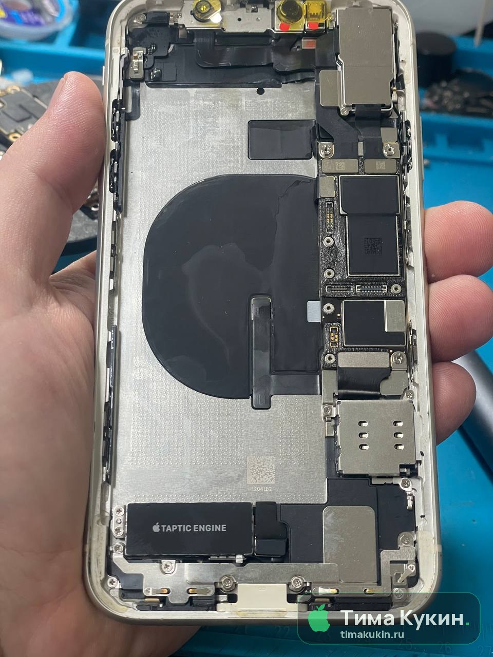 Замена дисплея (экрана) iPhone 11 — Тима Кукин