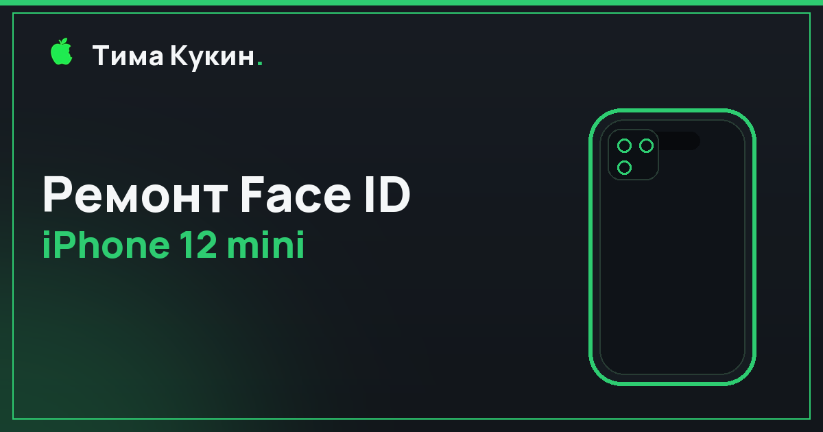 Ремонт Face ID iPhone 12 mini в Барнауле — на выезде