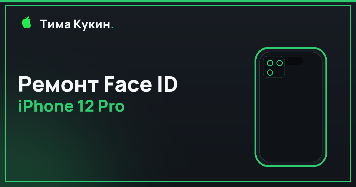 Ремонт Face ID iPhone 12 Pro в Барнауле — на выезде
