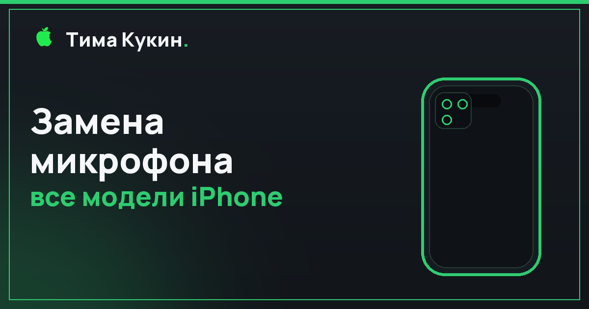 Замена микрофона iPhone в Барнауле — на выезде