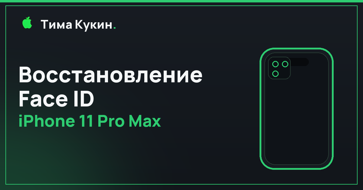 Восстановление Face ID iPhone 11 Pro Max в Барнауле — на выезде