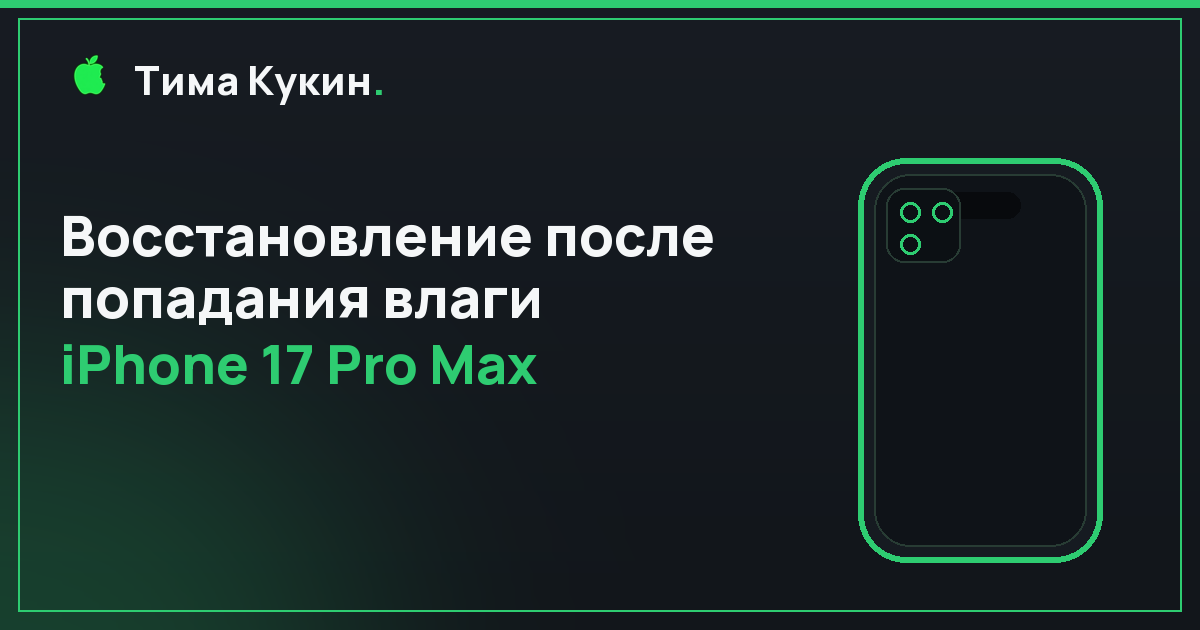 Восстановление iPhone 17 Pro Max после воды в Барнауле — выезд мастера