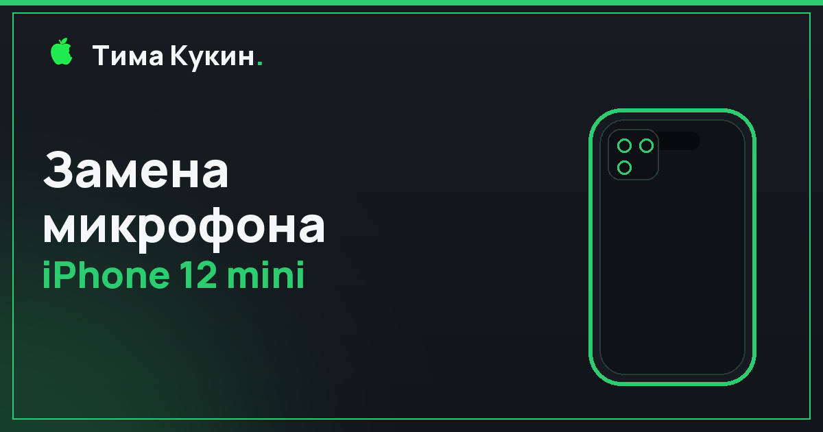 Замена микрофона iPhone 12 mini в Барнауле — на выезде