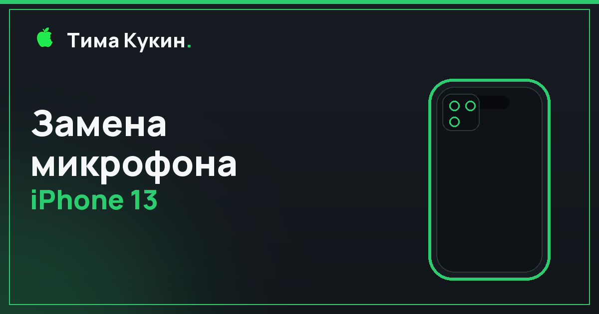 Замена микрофона iPhone 13 в Барнауле — на выезде