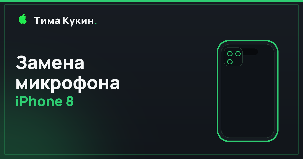 Замена микрофона iPhone 8 в Барнауле — на выезде