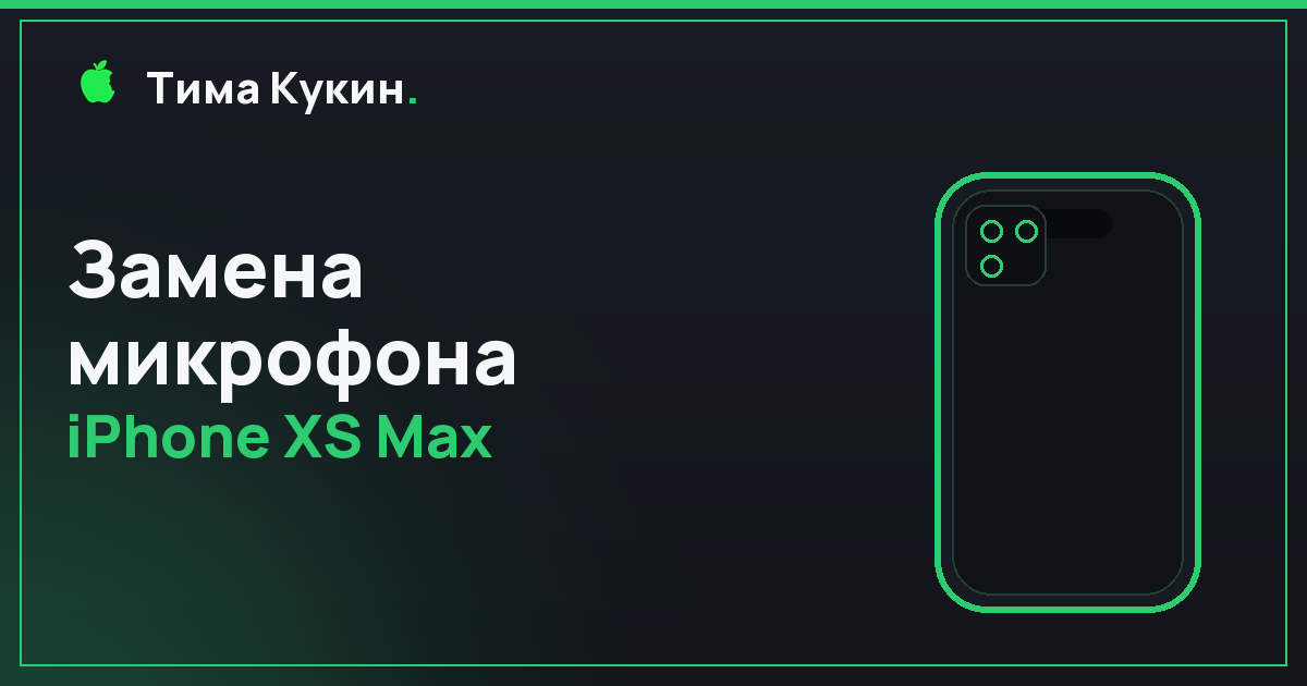 Замена микрофона iPhone XS Max в Барнауле — на выезде